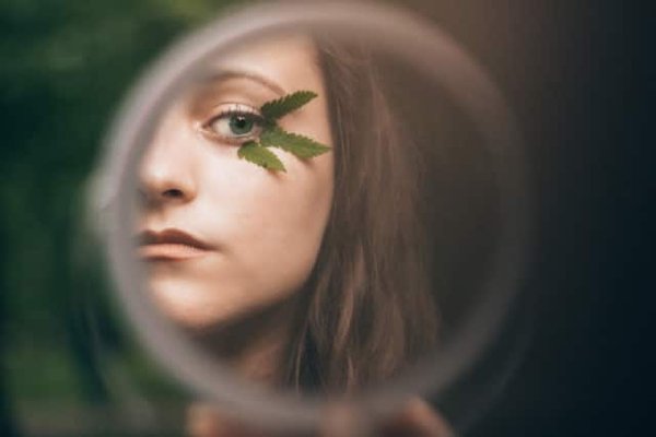 Smart mirrors: the intersection of fashion and technology